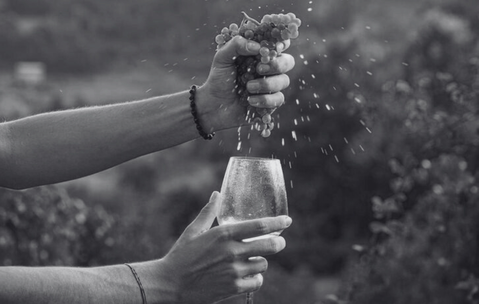 O Vinho que eles fizeram